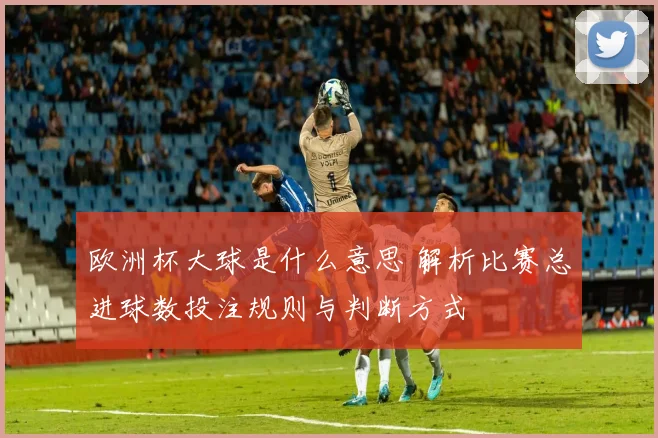 欧洲杯大球是什么意思 解析比赛总进球数投注规则与判断方式