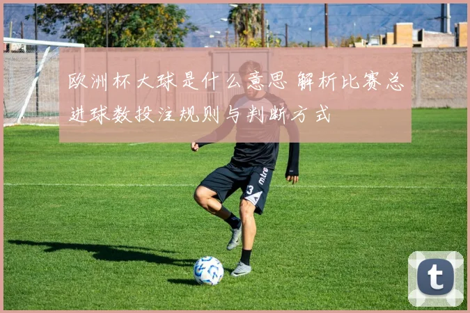 欧洲杯大球是什么意思 解析比赛总进球数投注规则与判断方式