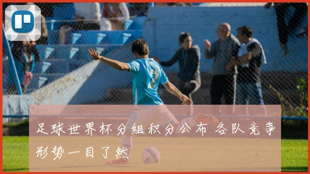 足球世界杯分组积分公布 各队竞争形势一目了然