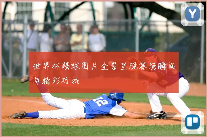 世界杯踢球图片全景呈现赛场瞬间与精彩对抗