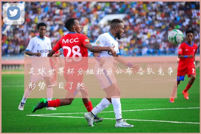 足球世界杯分组积分公布 各队竞争形势一目了然